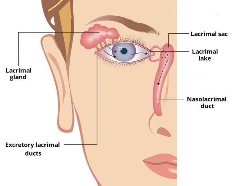 Dry Eye Clinic